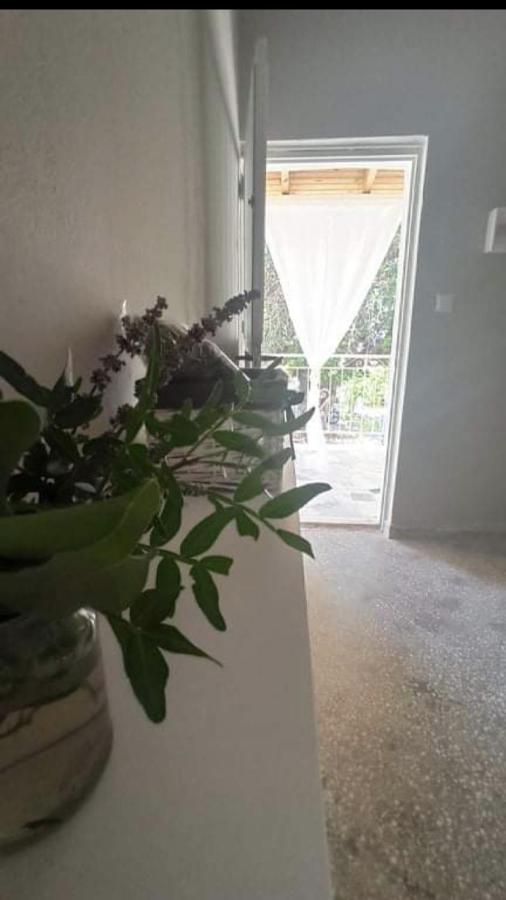Hostel Αγρόκτημα Χελωναριά - Agroktima Chelonaria Chrani Exterior foto